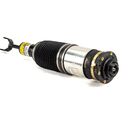 New Gen II Front Air Strut - 97-04 Audi A6 (C5), 99-05 Audi A6 allroad quattro (C5)