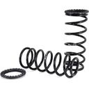 Rear Coil Spring Conversion Kit - 02-09 Lexus GX 470/Toyota Land Cruiser Prado
