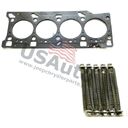 HEAD GASKET W/ BOLTS