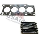 HEAD GASKET W/ BOLTS