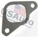 MANIFOLD GASKET - INTAKE