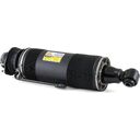 taast. tag. par. ABC amort - 03-06 Mercedes-Benz SL-Class (R230)