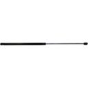 TAILGATE GLASS SUPPORT STRUT