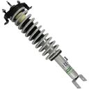 McPHERSON COLUMN (SHOCK ABSORBER, COIL SPRING, MOUNTS) - REAR