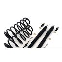 Rear Coil Spring Conversion Kit w/Rear Shock  - 90-02 Town Car, 92-02 Crown Victoria/Grand Marquis