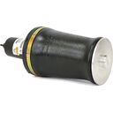 Front Generation III Air Spring - 95-02 Land Rover Range Rover (P38A) - Left or Right
