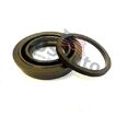 BRAKE CALIPER PISTON SEAL KIT