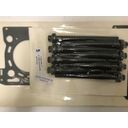 HEAD GASKET W/ BOLTS