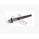 ENGINE CYLINDER HEAD BOLT