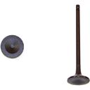 EXHAUST VALVE