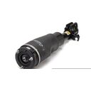 New Front Right Air Strut - 02-12 Land Rover Range Rover w/o VDS (AS-2307/AS-2268) (L322)