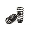 Rear Coil Spring Conversion Kit - 03-09 Mercedes-Benz E-Class Wagon (W211) w/o ADS