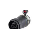 Rear Air Spring - 93-98 Lincoln Mark VIII - Left or Right